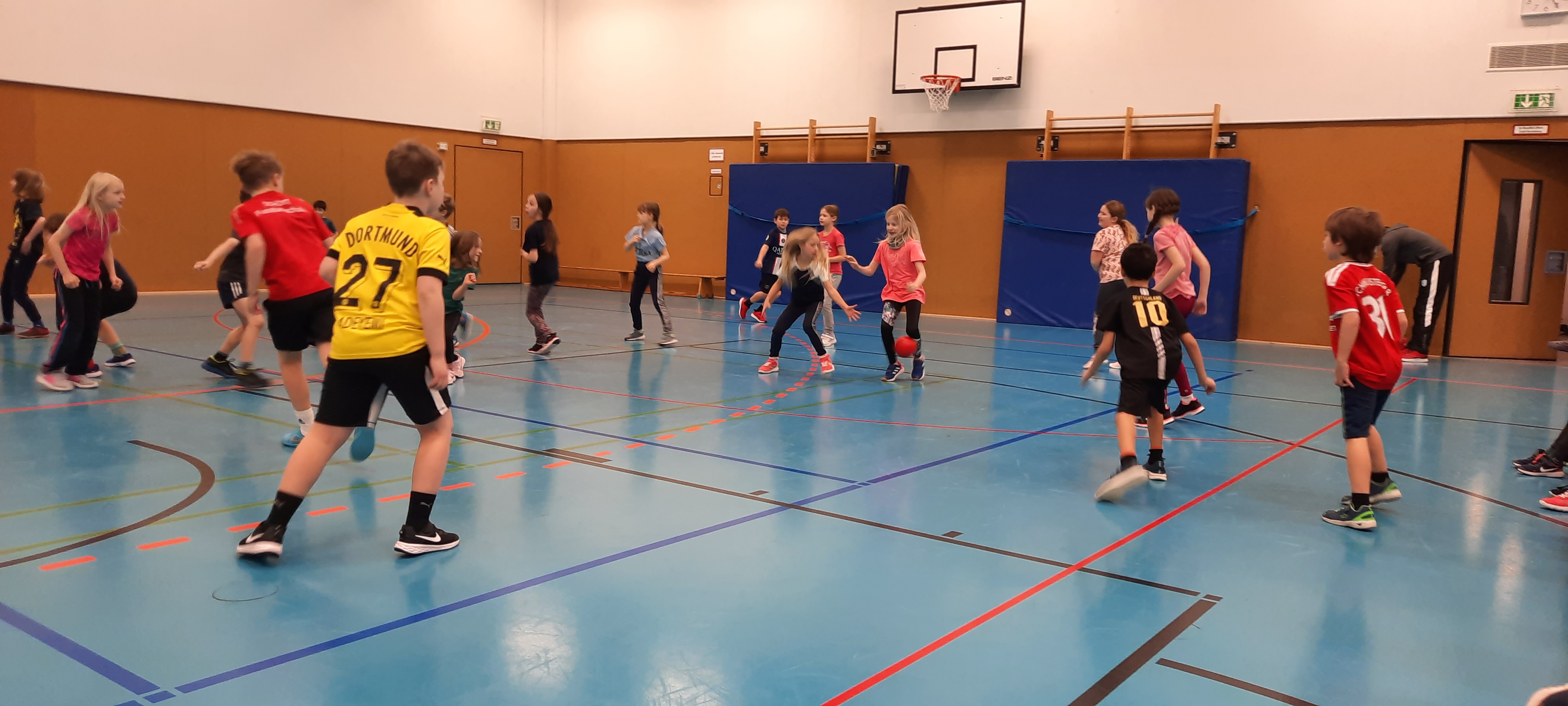 tl_files/dualingo_neu/News 2022 2023/Zweifelderball (2).jpg